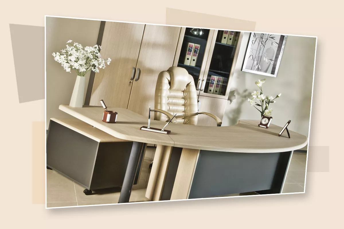 Кабинет руководителя женщины – основы и содержание фото 3