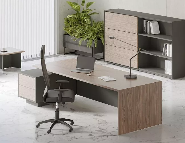 фото кабинет Дали Орех №2