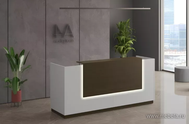 стойка ресепшн A4 +