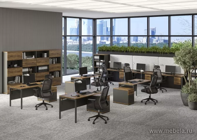 мебель Concept Light