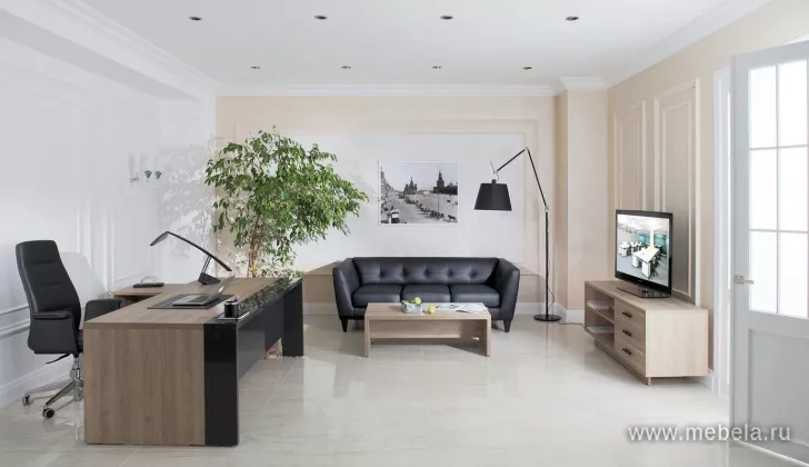 Офисный диван Volta