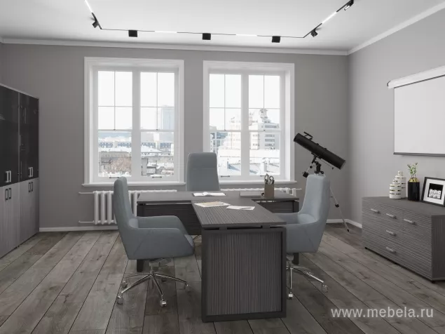 кабинет Аргентум-М +