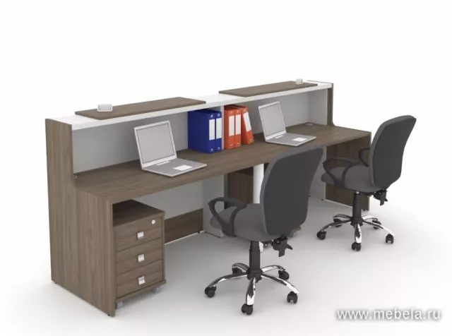 стойка ресепшн Style Elm