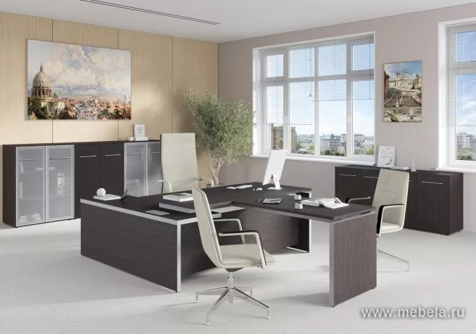 кабинет Reventon Wenge