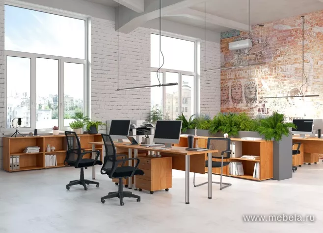 мебель Формула МХ