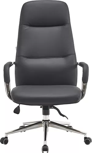 фото кресло EV-Веста №2