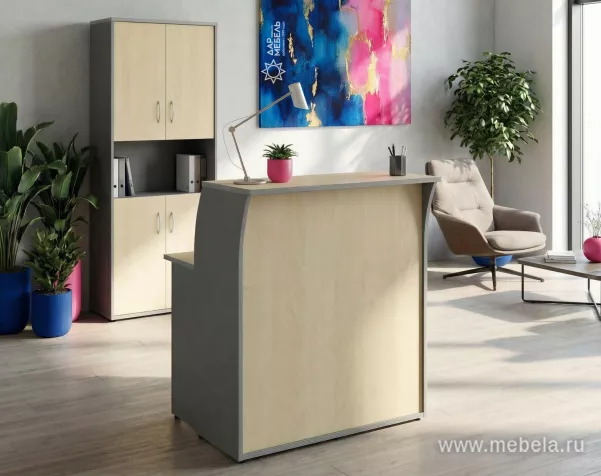 ресепшн Рива Клён М