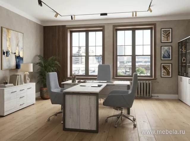 кабинет Аргентум-М +