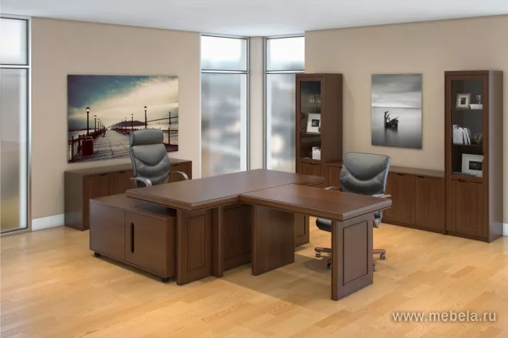 кабинет Принстон