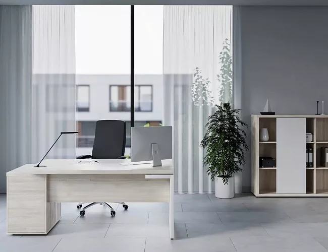 фото кабинет Зион Шамони №2