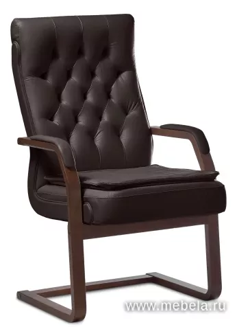 кресло Дарвин C (с подушкой)