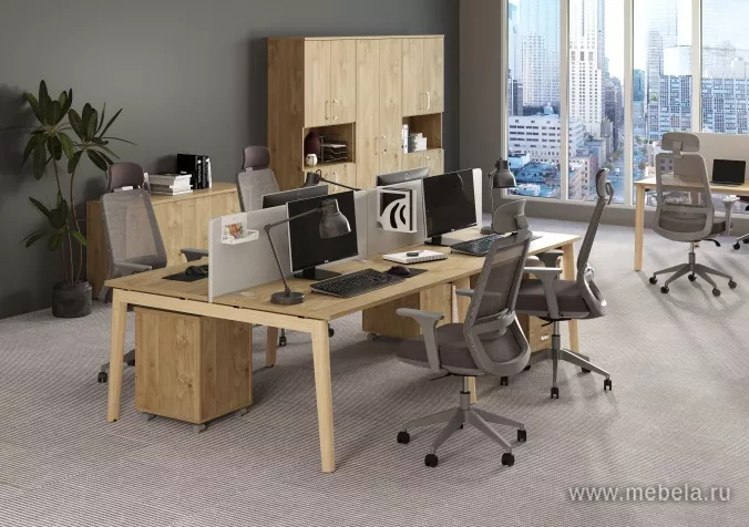 мебель Оникс Вуд