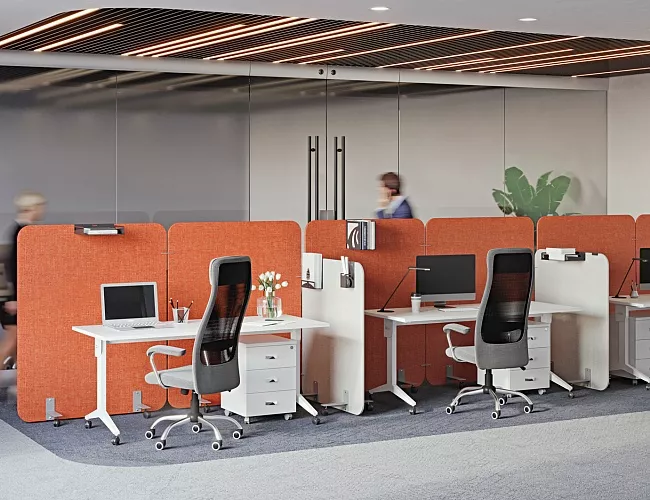 фото перегородки R-line Soft №5