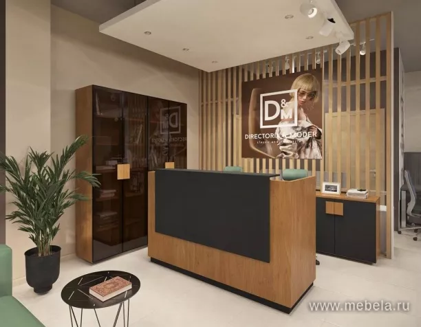 ресепшн Kyu DM