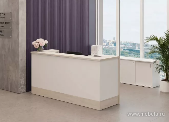 ресепшн Style Dub