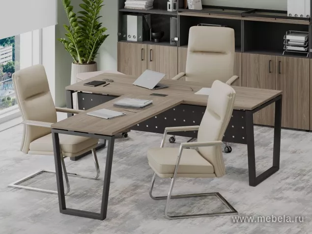 кабинет Project Elm T