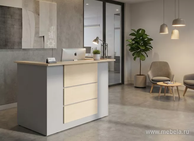 ресепшн Профит Серый