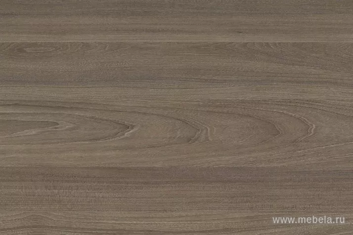 стойка ресепшн Style Elm