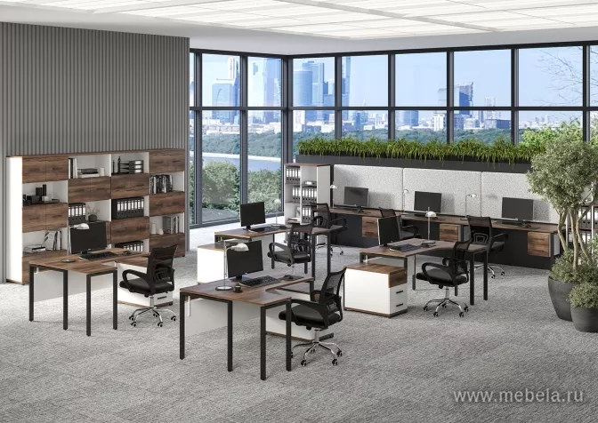 мебель Concept