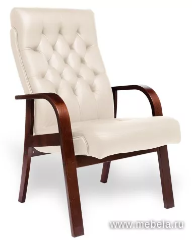 кресло Darwin D