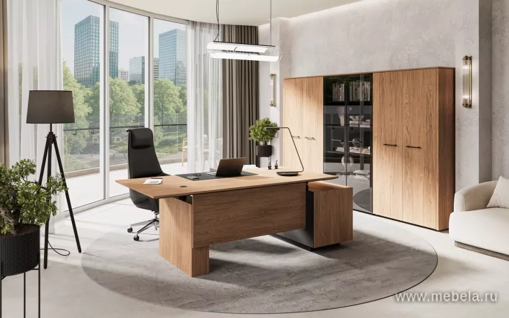 кабинет Zenon