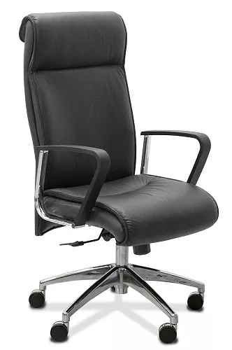 фото кресло Дарк