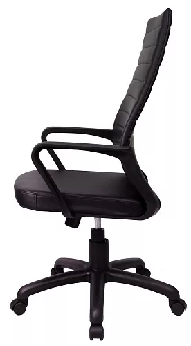 фото кресло RV-1165-4 PL №4