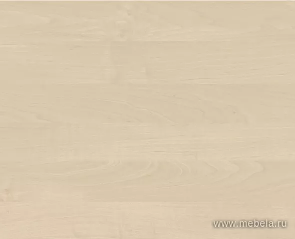 ресепшн Riva Maple