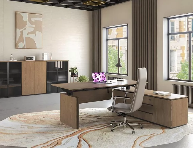 фото Кабинет руководителя Ion №4