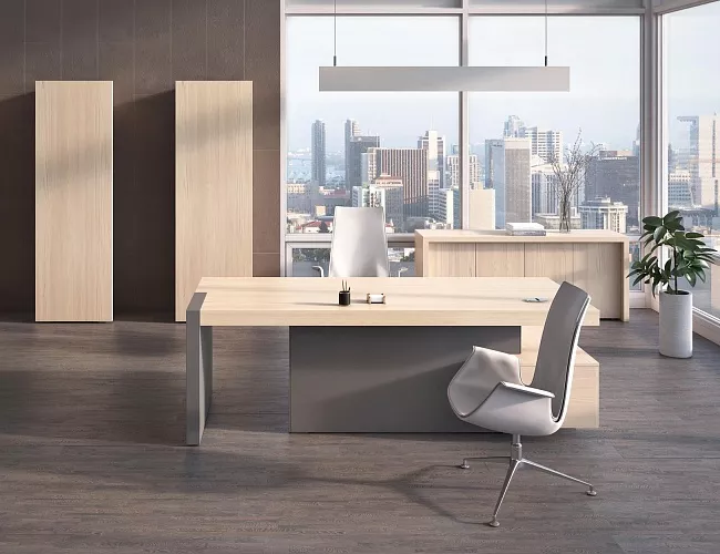 фото кабинет руководителя Era №4