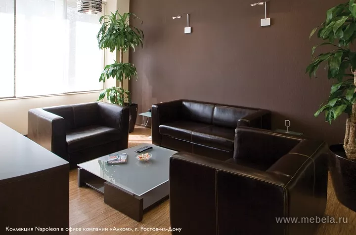 Офисный диван Napoleon