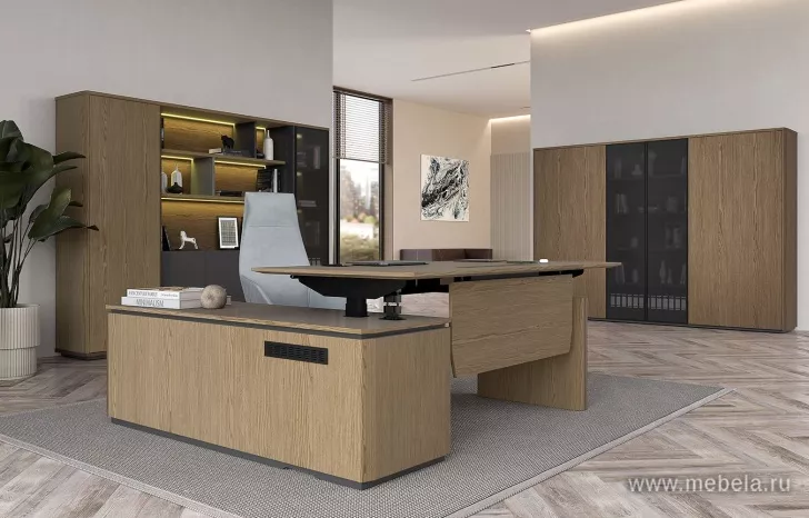 Кабинет руководителя Ion