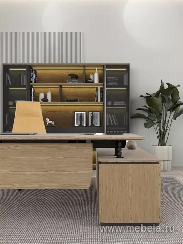 Кабинет руководителя Ion