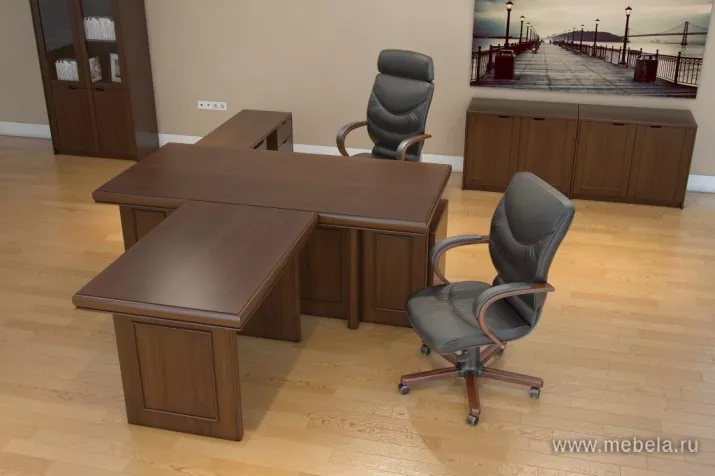 кабинет Princeton