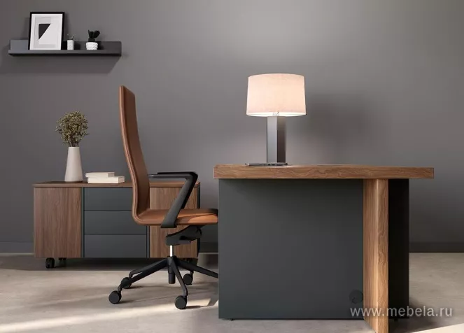 кабинет офисный Faber