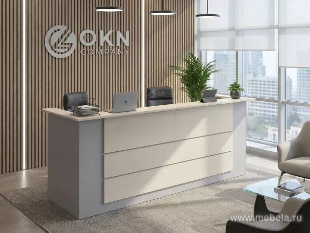 ресепшн Профит Серый