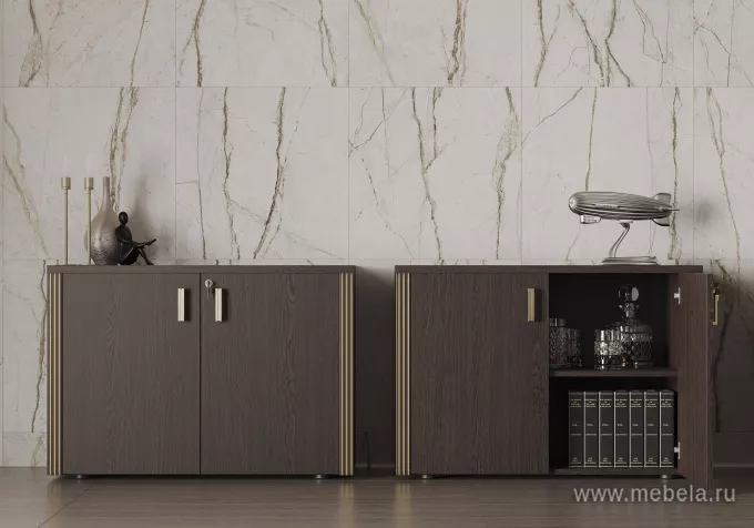 кабинет Чикаго