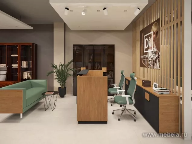 ресепшн Kyu DM