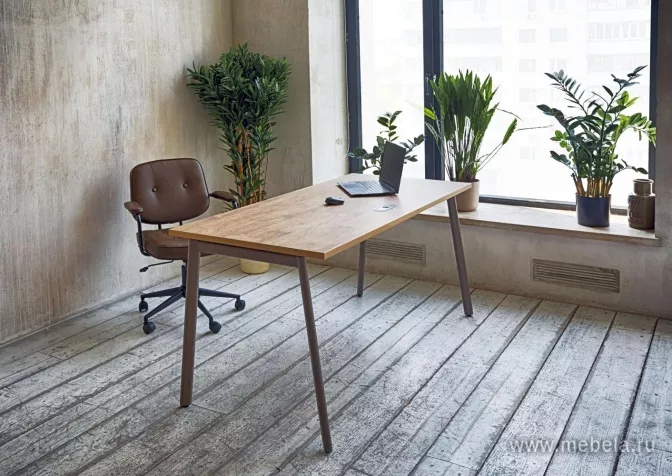 мебель Эстетика