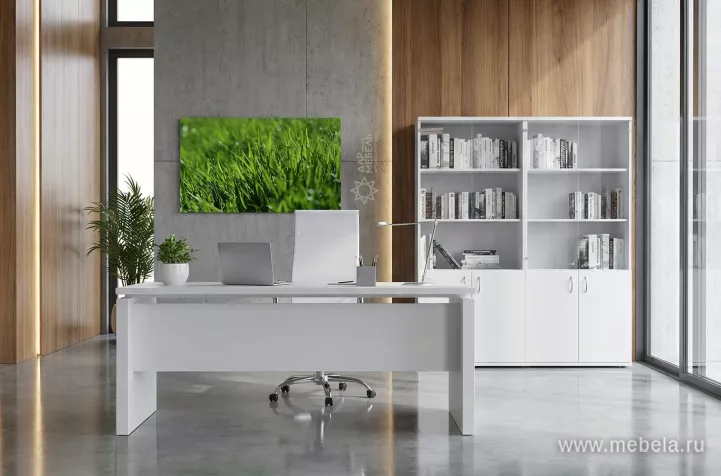 кабинет Steel Evo White