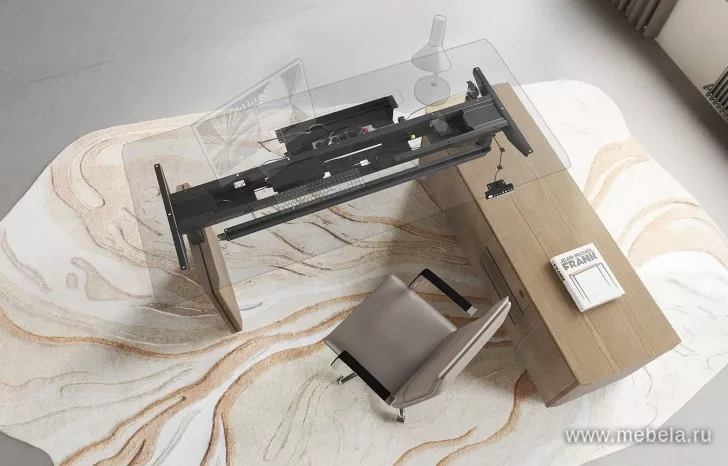 Кабинет руководителя Ion