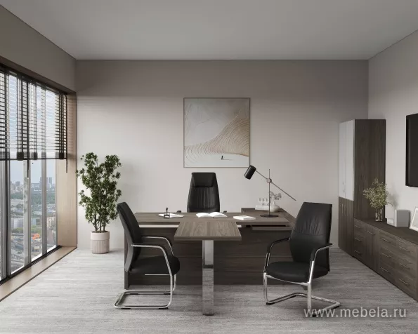 кабинет Yalta Elm