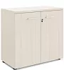 Офисный шкаф низкий, 2 двери