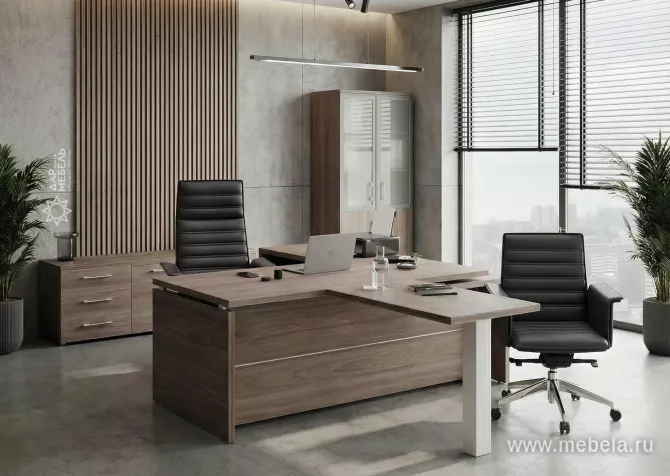 кабинет Yalta Elm