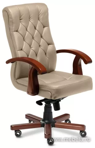 кресло Darwin B