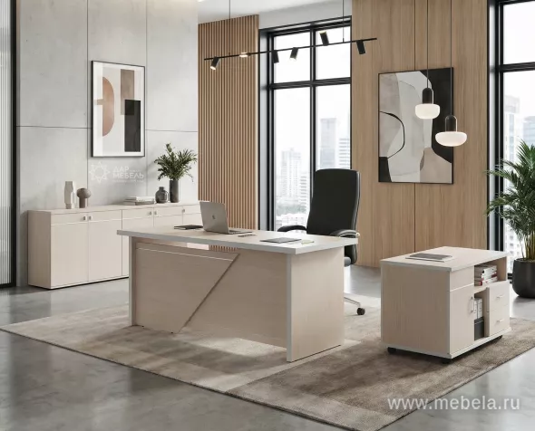 кабинет Zoom White