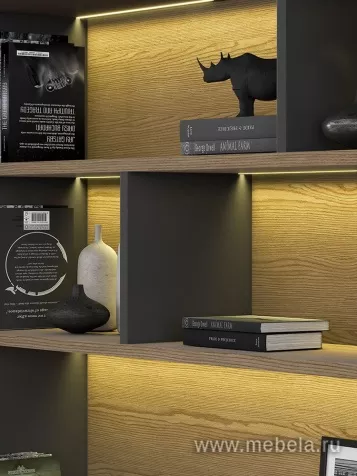 Кабинет руководителя Ион