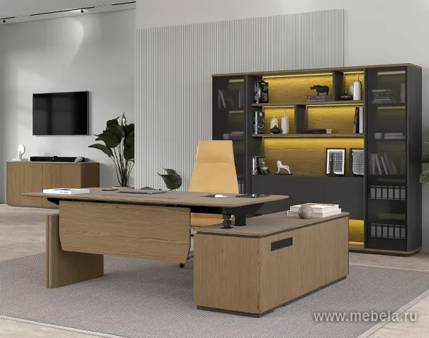 Кабинет руководителя Ion