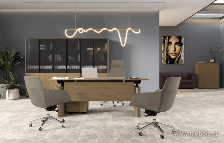 Кабинет руководителя Ion