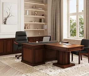 кабинет директора Dante